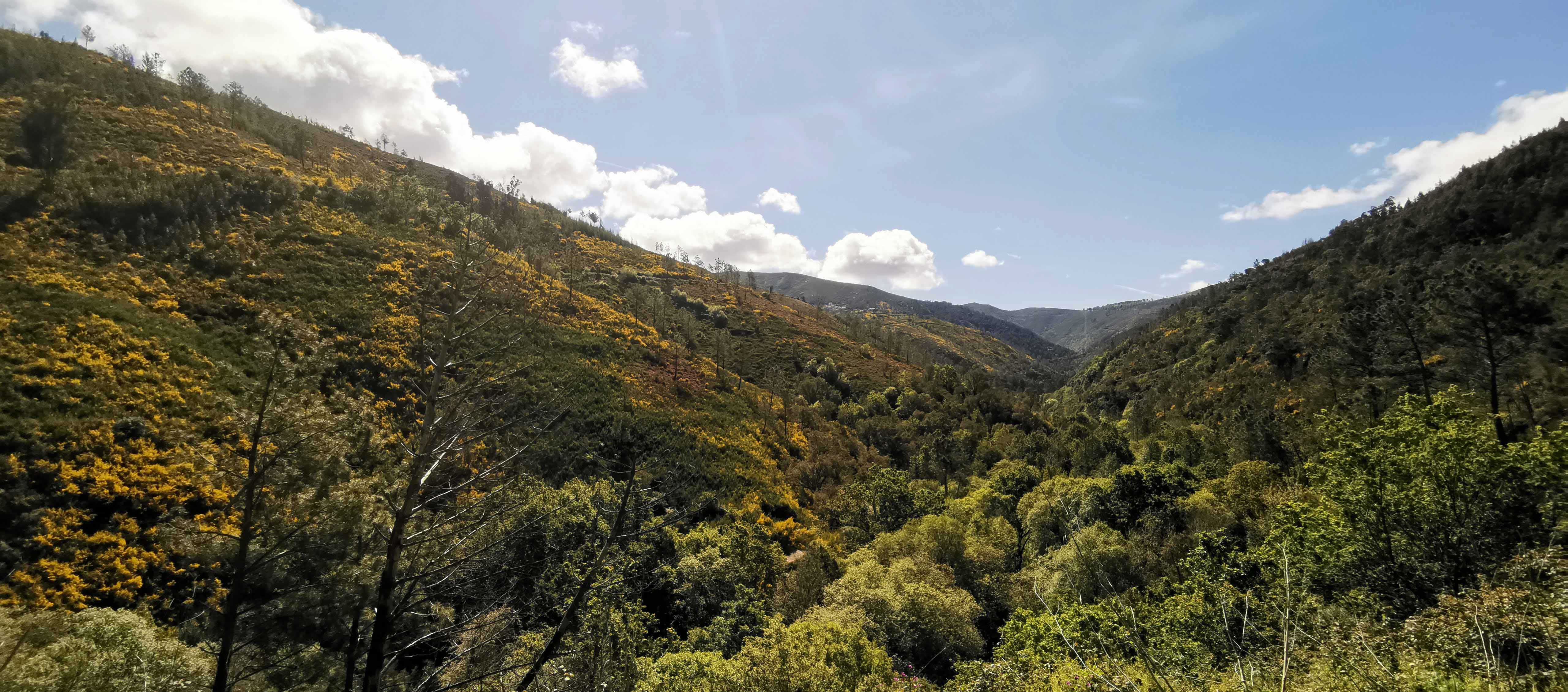 View of the valley in spring | ReWild! Nature restore project