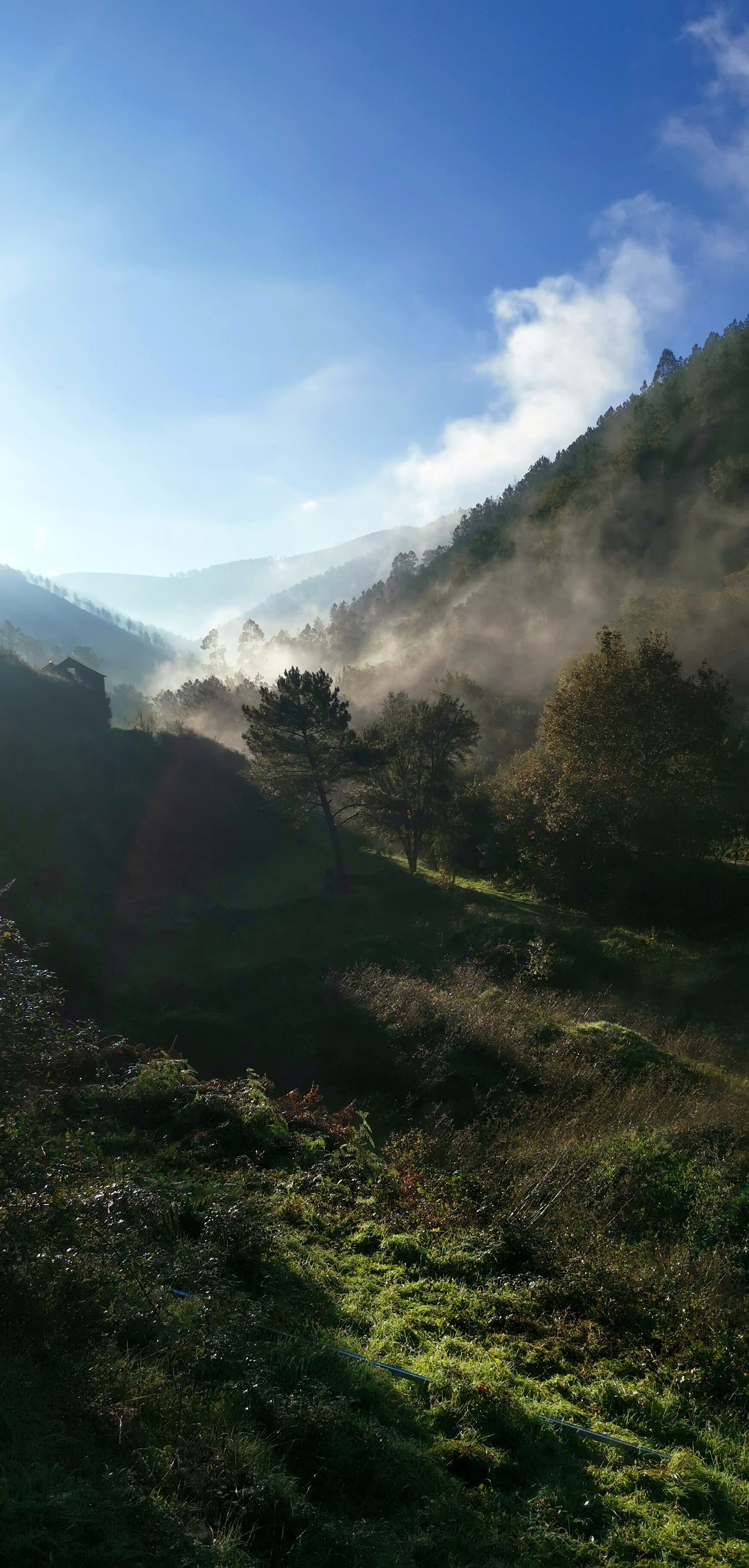 View of the valley in spring | ReWild! Nature restore project